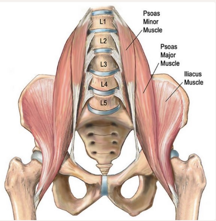 psoasspier